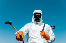 Best Residential Pest Control  in Stewartville, MN